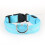 (Blue,L)Pet Products Dog Led Light Collar Convenient And Practical Monochrome Polyester 1