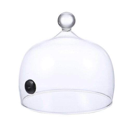 2026 Smoke Cover Glass Cake Display Cover for Kitchen Use 1Pcs 2