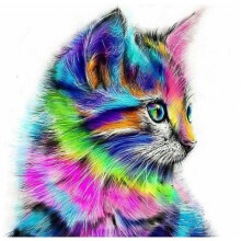 (Cat B)Colorful Painting Tiger Lion Abstract Canvas Painting Core Sofa Wall Room Living