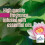 Glade Glade Plug In Refill, Relaxing Zen, 6x20ml 8