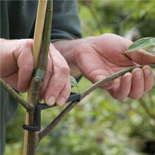 60X Grenspridare Plantstamstål Fruktträd Grenavdragare Knytmaskin Gårdsverktyg Nytt Plommonträd Öppen Vinkeldrag
