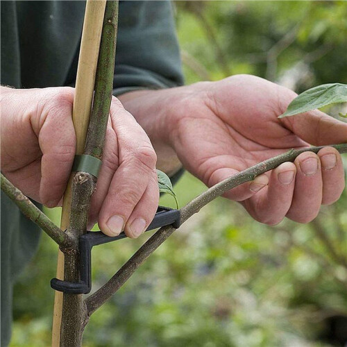 60X Branch Spreaders Plant Stem Traine Fruit Tree Branch Puller Tying Machine Farm Tools New Plum Tree Open Angle Pull