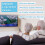 Seniors Elderly Big Button Universal Extra Large Comando UNOCAR - Jumbo Giant Remote, Simple Easy Basic Control, para LG Samsung Sony JVC 2