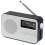 LEMEGA PR2 Max DAB Radio, Bluetooth 5.3, LCD Display, AA Battery, Black 1