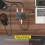 PROZOR RCA Audio Switcher 2(1)-In-1(2)-Out Bidirectional Speaker Switch 4