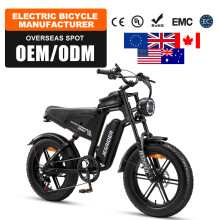 Electric Bike G650 20'' 48V 20AH Off-road E-Bike