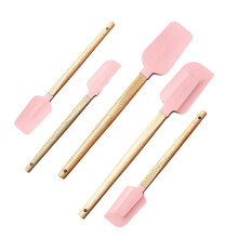 Complete 5 Piece Silicone Spatula Set Wooden Handle Mixing Jar Baking Cooking Heat Multicolor