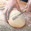Stainless Steel Danish Dough Whisk & Scraper Set, 2-Piece Baking Tools with 5 Replacement Blades 2