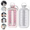 Ice Cube Molds 2 In 1 Portable Ice Cube Trays Ice Ball Maker Kettle Pink 2