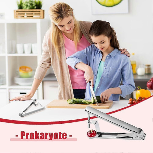 3PCS Cherry Pitter Remover Stainless Steel Corer Pitter Tool, Cherry Seed Multi Fruit Pit Silver 2