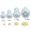 Pxcl Set 4 Flower Cookie Cutters Pusher, Sugar Paste Cookie Cookie Cutter, Plastic, White, 25 Mm 2