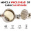premium Garlic Press, Garlic Mincer, Easy Squeeze Clean, Rust Proof & Safe, Ginger Crusher- Silv PXC 3