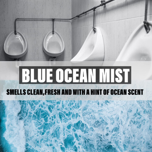 Urinal Screens Deodorizer 10 Packs, Urinal Mats Pads Blue Mist Scented 1