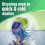 Persil Persil Bio 4-in-1 Laundry Capsules 48 Washes 5
