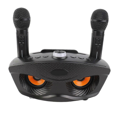 Wireless Microphone System Dual Professional Home KTV Innovative Owl Wireless Karaoke Mic System 1