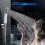 Brass Handheld Shower Head L Style High Pressure Luxury Silver White Chrome Finish Small Size 5