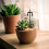 Modèle de lampadaire noir décoratif, 8 mini décors de paysage 5