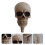 Skull Shape Wall Hanger Halloween Hook for Home Use 1Pcs Beige Resin Hook 2