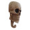 Skull Shape Wall Hanger Halloween Hook for Home Use 1Pcs Beige Resin Hook 3