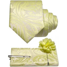 (Zitronengelb) JEMYGINS Men's Paisley Baroque Pattern Tie Set Polyester Elegant Pocket Square Tie Clip Lapel Flower for Wedding Business Multicolor