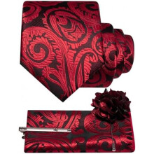 (Bordeaux) JEMYGINS Men's Paisley Baroque Pattern Tie Set Polyester Elegant Pocket Square Tie Clip Lapel Flower for Wedding Business Multicolor