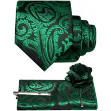 (Grün) JEMYGINS Men's Paisley Baroque Pattern Tie Set Polyester Elegant Pocket Square Tie Clip Lapel Flower for Wedding Business Multicolor