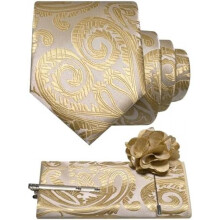 (Champagner) JEMYGINS Men's Paisley Baroque Pattern Tie Set Polyester Elegant Pocket Square Tie Clip Lapel Flower for Wedding Business Multicolor
