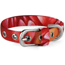 Red Dog Collar with Flower Quick Release Buckle Adjustable Oxford Cloth for Small Medium Dogs Cats
