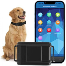 Winnes 4G GPS Dog Tracker Collar 3000mAh Real-Time Tracking No Subscription IP67 Waterproof with Data Stats Sound Light Alarm