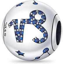 (3PAC251-10) 925 Sterling Silver Charm Pendant for Bracelet Women, Pandach Beads Fit European Bracelets Necklace, Gift for Women Girls