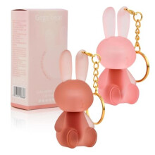 2-in-1 Keychain Lip Gloss Set for Girls, Cute Rabbit Matte Liquid Lipstick, Velvet Lip Glaze, Waterproof Long-Lasting, Non-Sticky, 2 Colors