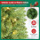 Costway Pencil Christmas Tree Pre Lit Slim Artificial Xmas Tree w/ LED Lights 8