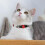 Adjustable Pet Collar Red Oxford Cloth Quick Release Buckle for Small Medium Dogs Cats Comfortable 5
