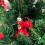 HOUTEN HANGERS / KERSTBALLEN 30 st 4