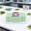 Leaf Structure Model, Plant Enlarged Display Anatomical Model Portable Junior High School Biology Teaching Instrument 2