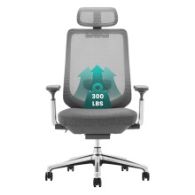 COLAMY Ergonomic Mesh Office Chair, High Back Computer Executive Desk Chair with Adjustable Headrest and 4D Arms, Slide Seat, Tilt Lock, Dark Grey