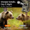XTU 4K 64MP Solar Wildlife Camera with Night Vision Motion Activated 4