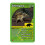 Top Trumps Top Trumps Dinosaurs Classics Card Game, Educational, Ages 6+. 11