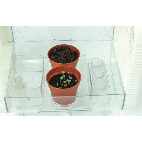 Clementoni Clementoni SmartTech Greenhouse – Interactive STEM Plant Science Kit with S 2