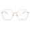 Chopard Chopard VCHG27M 02AM Unisex New Eyeglasses 1