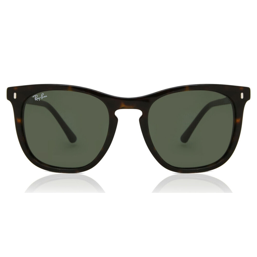 Ray-Ban RB2210, Havana Sunglasses Green lenses, Mojo Glasses - Image 3