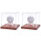 2X Clear Acrylic   Display Case Multipurpose Transparent Storage Box for Baseball Collections 2