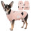 Pullover-Overall für Hunde, Strick, weich, warm, Rosa, S 1