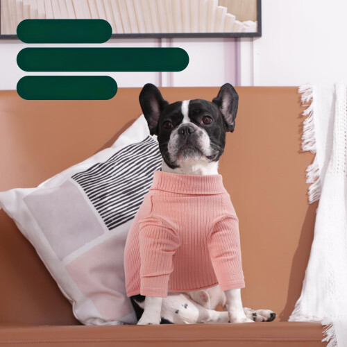Overall Pullover Kleidung für Hunde Weich Gestrickt Warm Rosa XS 1