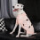 Pullover-Overall für Hunde, Strick, weich, warm, Rosa, S 5