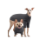 Pullover-Overall Hundekleidung Weich Gestrickt Warm Grau L 5
