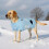 Pullover-Overall für Hunde, warm, elastisch, Winter, blau, Gr. M — hundebekleidung winter, strickpullover für hunde 6
