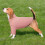 Pullover-Anzug für Hunde, Strickkleidung, warm, Rollkragen, Winter, Pink, S 6
