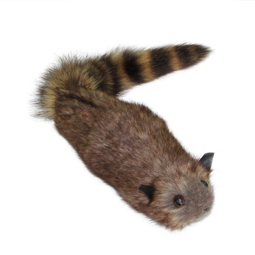 Cuter Spring Raccoon Magic Props Giocattolo con Design Creativo per Bambini Hobbisti e 2
