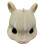 Squirrel Feeder Animal  Squirrel Feeder2 2
